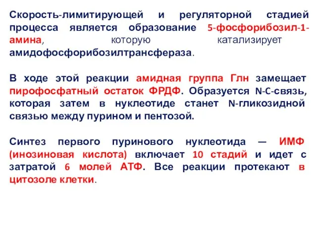 Скорость-лимитирующей и регуляторной стадией процесса является образование 5-фосфорибозил-1-амина, которую катализирует