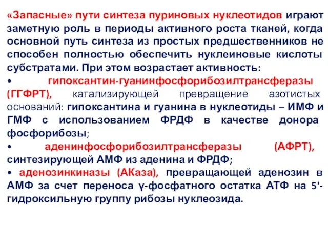 «Запасные» пути синтеза пуриновых нуклеотидов играют заметную роль в периоды