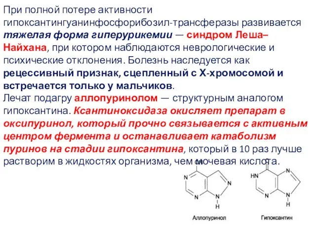 При полной потере активности гипоксантингуанинфосфорибозил-трансферазы развивается тяжелая форма гиперурикемии —