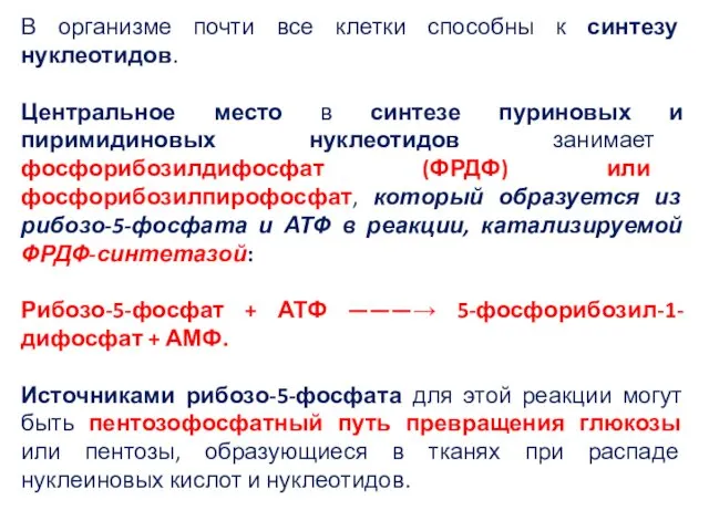 В организме почти все клетки способны к синтезу нуклеотидов. Центральное