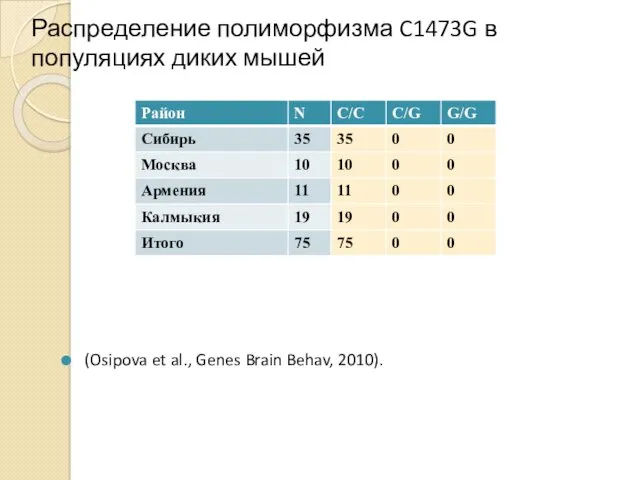 Распределение полиморфизма C1473G в популяциях диких мышей (Osipova et al., Genes Brain Behav, 2010).