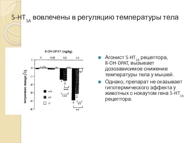 5-HT1A вовлечены в регуляцию температуры тела Агонист 5-HT1A рецептора, 8-OH-DPAT, вызывает дозозависимое снижение