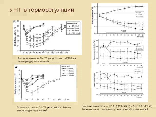 5-HT в терморегуляции Влияние агониста 5-HT3 рецепторов m-CPBG на температуру тела мышей Влияние