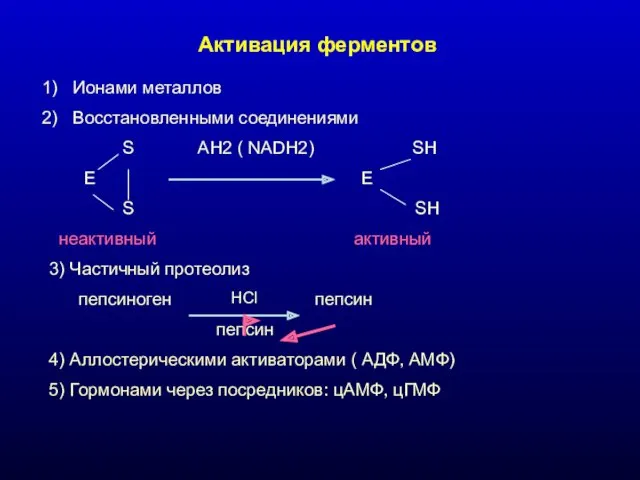 Активация ферментов Ионами металлов Восстановленными соединениями S AH2 ( NADH2) SH E E