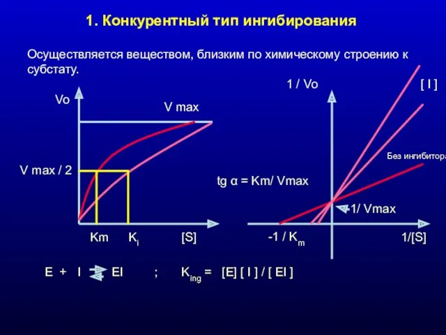 1. Конкурентный тип ингибирования Осуществляется веществом, близким по химическому строению к субстату. V