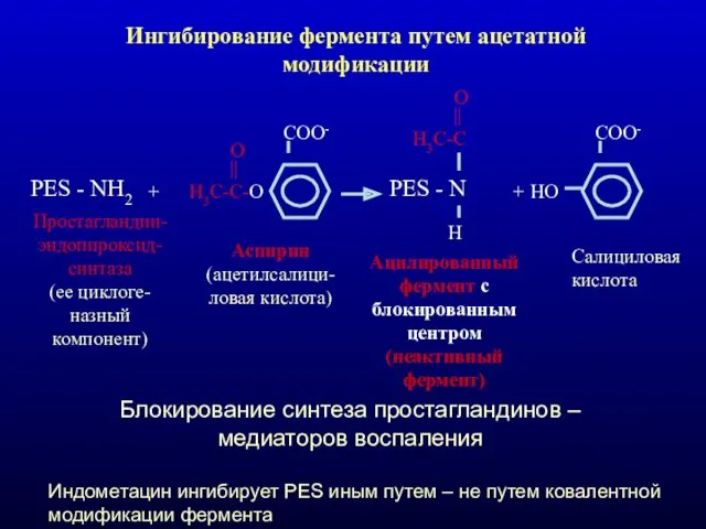 Ингибирование фермента путем ацетатной модификации PES - NH2 + Н3С-С-О