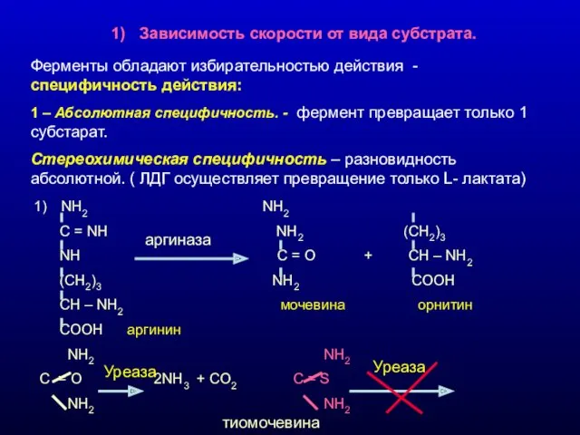 Зависимость скорости от вида субстрата. Ферменты обладают избирательностью действия - специфичность действия: 1