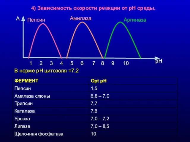 4) Зависимость скорости реакции от рН среды. В норме рН цитозоля =7,2 1