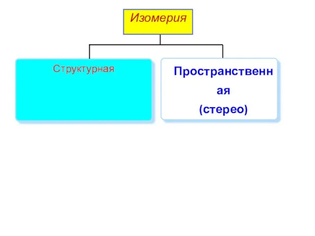 Изомерия Пространственная (стерео) Структурная