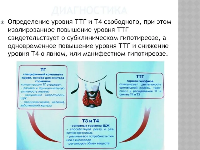 ДИАГНОСТИКА Определение уровня ТТГ и Т4 свободного, при этом изолированное