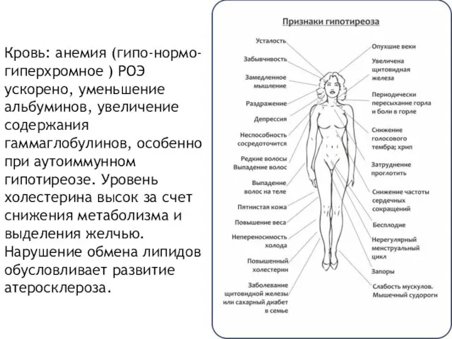 Кровь: анемия (гипо-нормо-гиперхромное ) РОЭ ускорено, уменьшение альбуминов, увеличение содержания