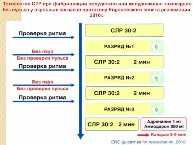 Технология СЛР при фибрилляции желудочков или желудочковая тахикардия без пульса у взрослых согласно