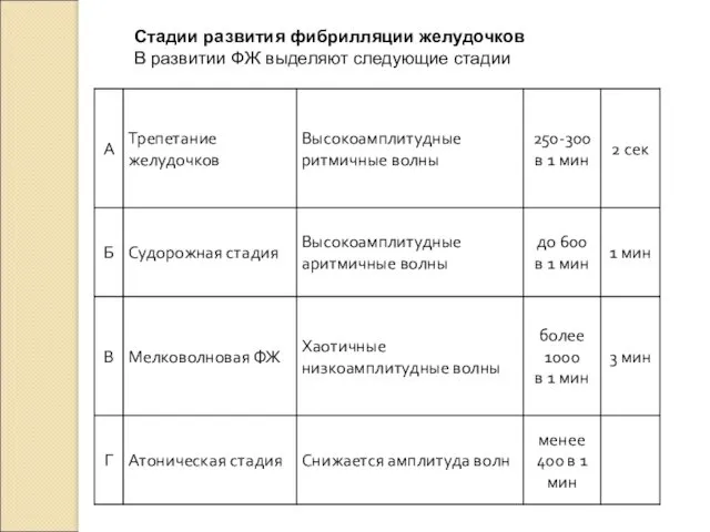 Стадии развития фибрилляции желудочков В развитии ФЖ выделяют следующие стадии