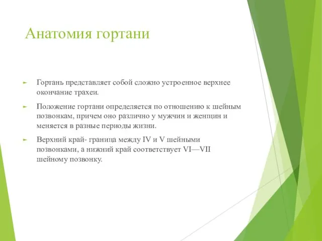 Анатомия гортани Гортань представляет собой сложно устроенное верхнее окончание трахеи.