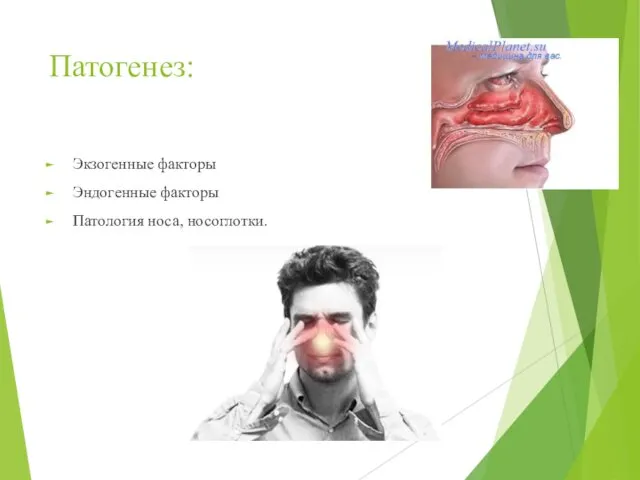 Патогенез: Экзогенные факторы Эндогенные факторы Патология носа, носоглотки.