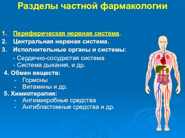 Разделы частной фармакологии Периферическая нервная система. Центральная нервная система. Исполнительные