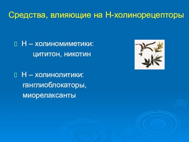 Средства, влияющие на Н-холинорецепторы Н – холиномиметики: цититон, никотин Н – холинолитики: ганглиоблокаторы, миорелаксанты