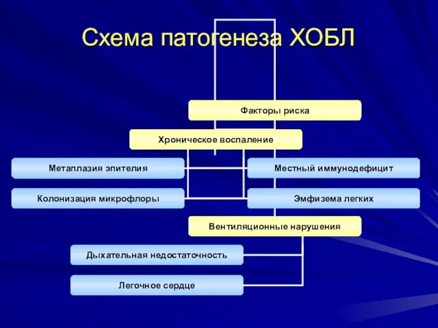 Схема патогенеза ХОБЛ