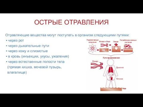 ОСТРЫЕ ОТРАВЛЕНИЯ Отравляющие вещества могут поступать в организм следующими путями: