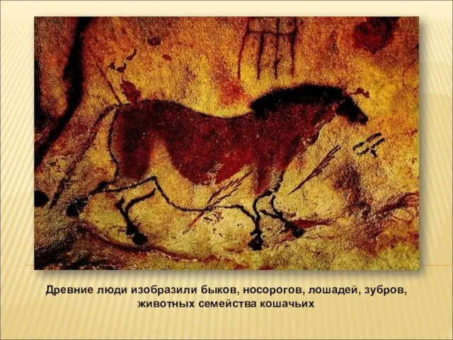Древние люди изобразили быков, носорогов, лошадей, зубров, животных семейства кошачьих