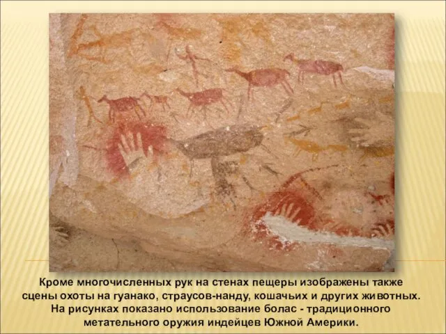 Кроме многочисленных рук на стенах пещеры изображены также сцены охоты на гуанако, страусов-нанду,