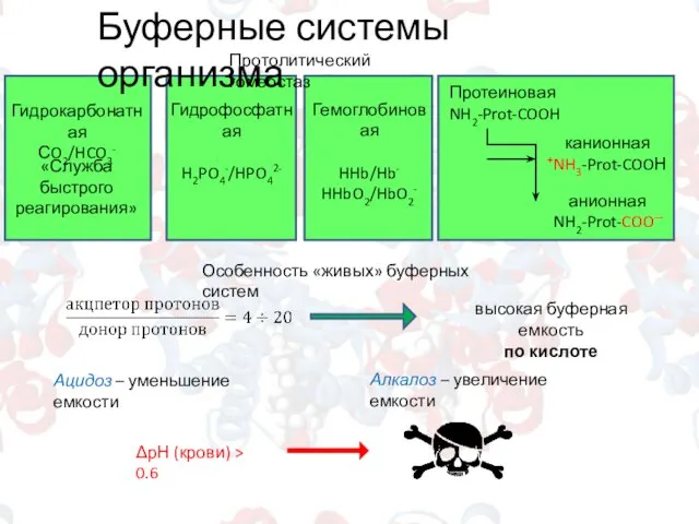 Буферные системы организма Гидрокарбонатная СO2/HCO3- «Служба быстрого реагирования» Гидрофосфатная H2PO4-/HPO42- Гемоглобиновая HHb/Hb- HHbO2/HbO2-