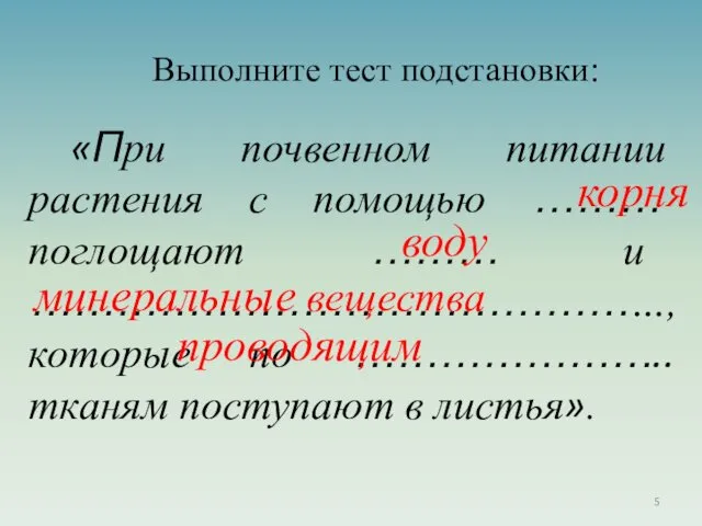 «При почвенном питании растения с помощью ……… поглощают ……… и ………………………………………, которые по