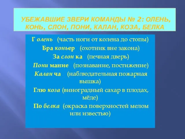 УБЕЖАВШИЕ ЗВЕРИ КОМАНДЫ № 2: ОЛЕНЬ, КОНЬ, СЛОН, ПОНИ, КАЛАН,