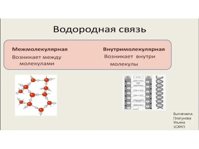 Выполнила: Платунова Ульяна 1СХНП