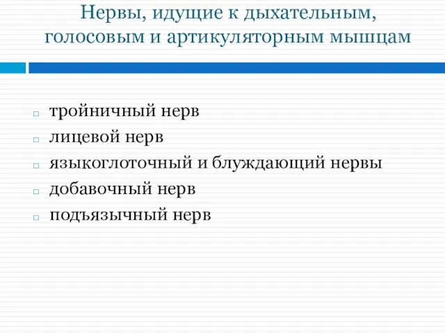 Нервы, идущие к дыхательным, голосовым и артикуляторным мышцам тройничный нерв