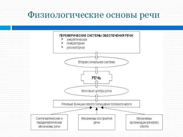 Физиологические основы речи