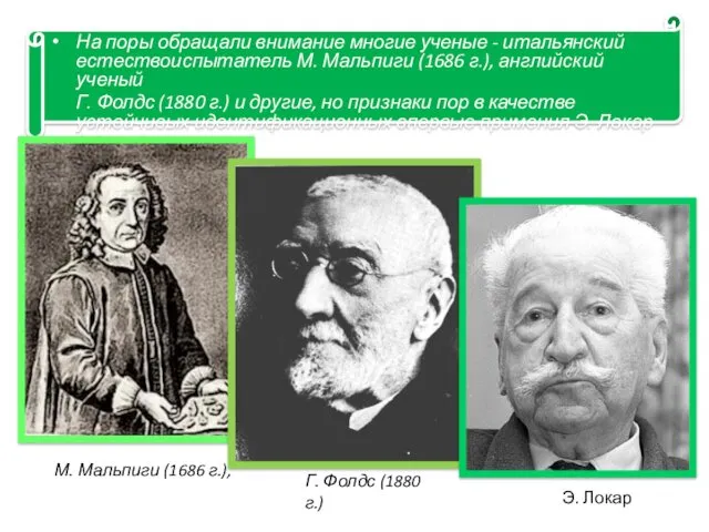 На поры обращали внимание многие ученые - итальянский естествоиспытатель М.