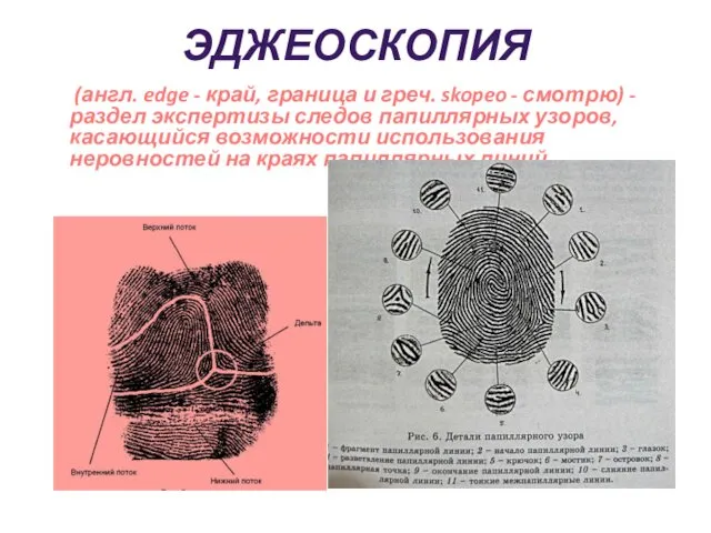 ЭДЖЕОСКОПИЯ (англ. edge - край, граница и греч. skopeo -