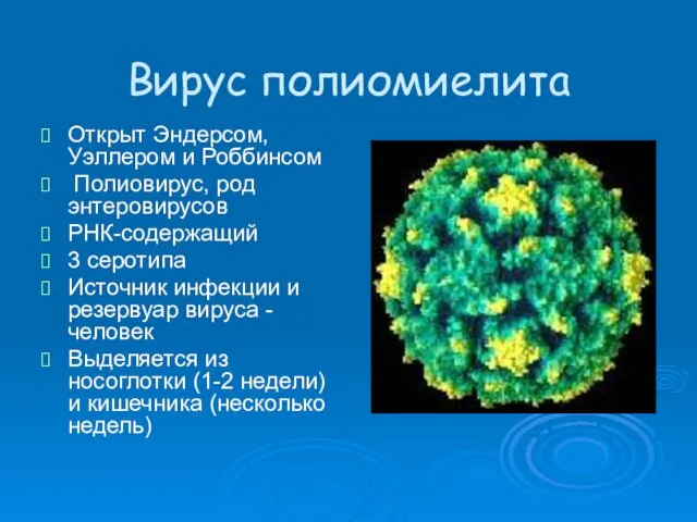 Вирус полиомиелита Открыт Эндерсом, Уэллером и Роббинсом Полиовирус, род энтеровирусов