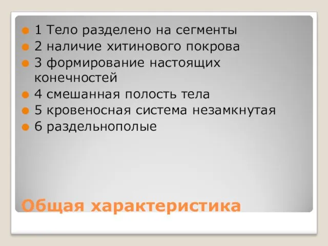 Общая характеристика 1 Тело разделено на сегменты 2 наличие хитинового