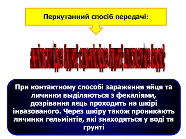 При контактному способі зараження яйця та личинки выділяються з фекаліями,