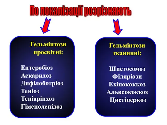 Гельмінтози просвітні: Ентеробіоз Аскаридоз Дифілоботріоз Теніоз Теніарінхоз Гіменолепідоз Гельмінтози тканинні: