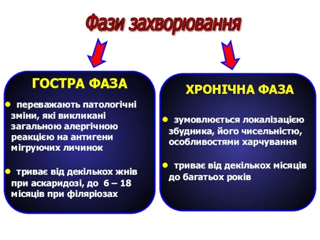 Фази захворювання ХРОНІЧНА ФАЗА зумовлюється локалізацією збудника, його чисельністю, особливостями