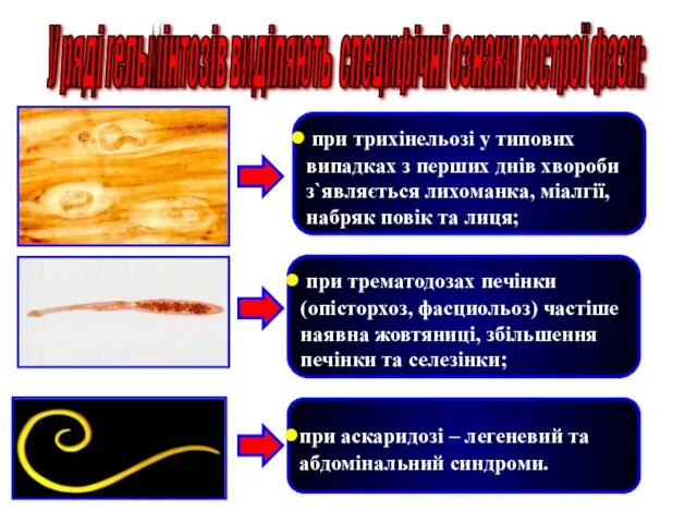 при трихінельозі у типових випадках з перших днів хвороби з`являється