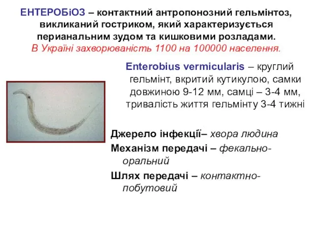 ЕНТЕРОБіОЗ – контактний антропонозний гельмінтоз, викликаний гостриком, який характеризується перианальним