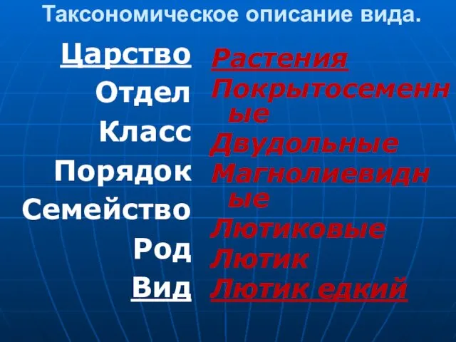 Таксономическое описание вида. Царство Отдел Класс Порядок Семейство Род Вид