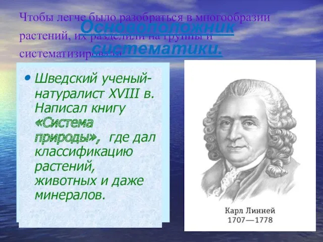 Чтобы легче было разобраться в многообразии растений, их разделили на