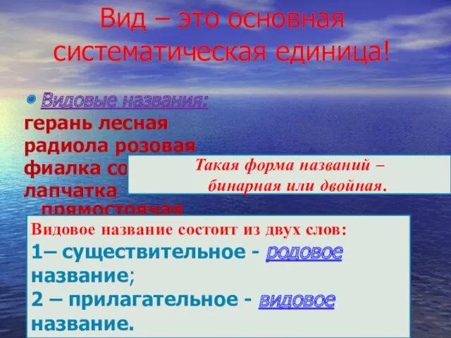 Вид – это основная систематическая единица! Видовые названия: герань лесная