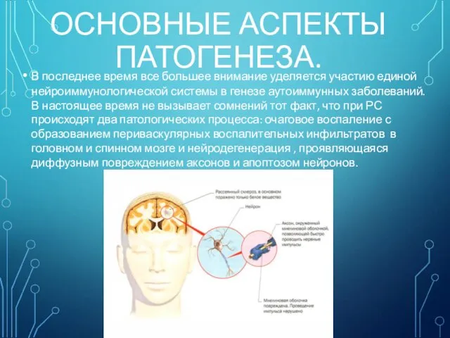 ОСНОВНЫЕ АСПЕКТЫ ПАТОГЕНЕЗА. В последнее время все большее внимание уделяется