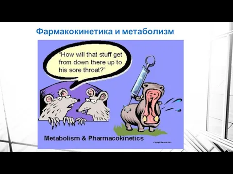 Фармакокинетика и метаболизм