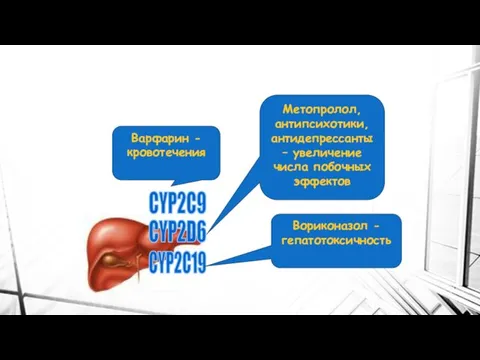 CYP2C9 CYP2D6 CYP2C19 Варфарин - кровотечения Метопролол, антипсихотики, антидепрессанты – увеличение числа побочных