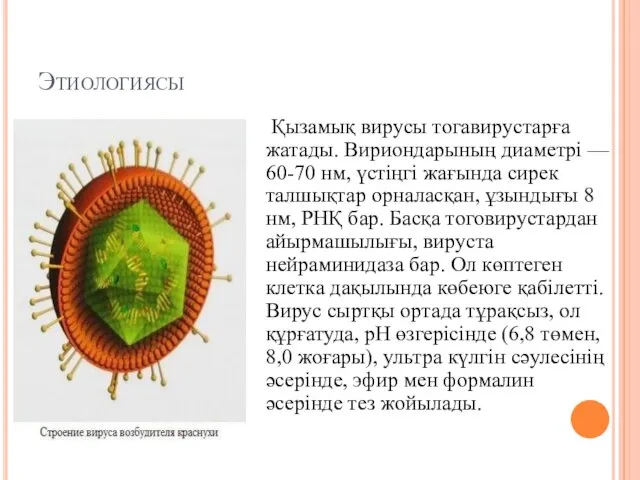 Этиологиясы Қызамық вирусы тогавирустарға жатады. Вириондарының диаметрі — 60-70 нм,