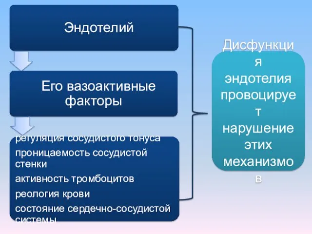 Дисфункция эндотелия провоцирует нарушение этих механизмов