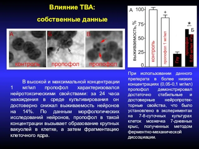 В высокой и максимальной концентрации 1 мг/мл пропофол характеризовался нейротоксическими