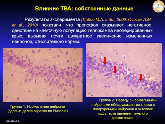 Результаты эксперимента (Лобов М.А. и др., 2009; Ovezov A.M. et